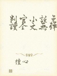 判官小说免费阅读全文无弹窗封面