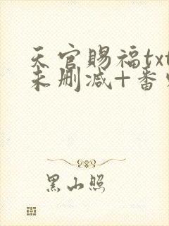 天官赐福txt未删减+番外
