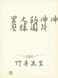 男人的坤坤长什么样图片