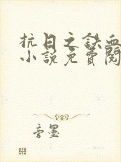 抗日之铁血连长小说免费阅读封面