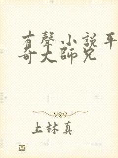 有声小说平平无奇大师兄