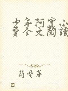 少年阿宾小说免费全文阅读无删减