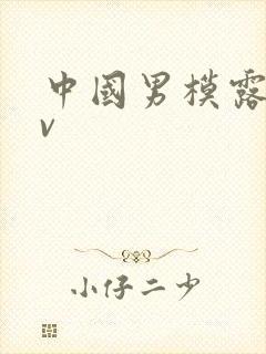 中国男模露鸟gv封面
