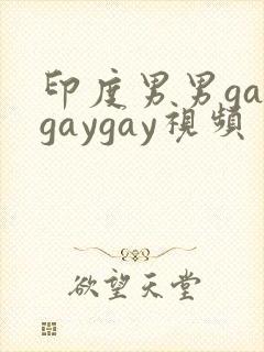 印度男男gaygaygay视频