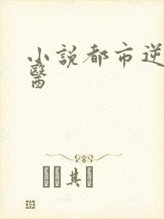 小说都市逆天邪医