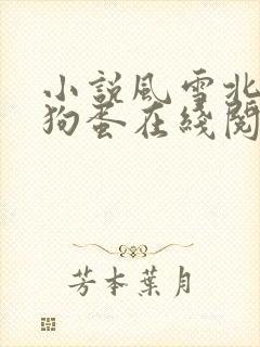 小说风雪北方情狗蛋在线阅读