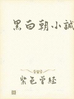 黑白朝小诚