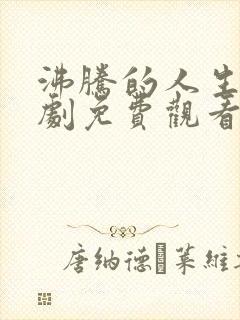 沸腾的人生电视剧免费观看全集高清封面