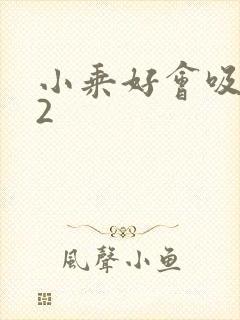 小乘好会吸1V2封面