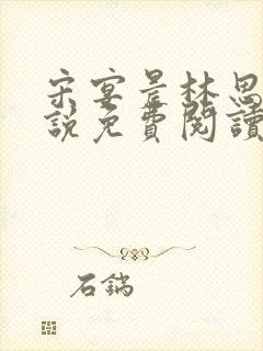 宋宴晨林思微小说免费阅读最新章节