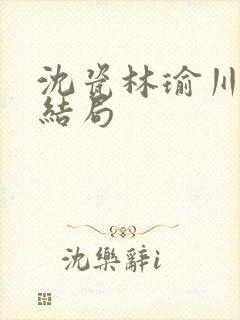 沈瓷林瑜川番外结局