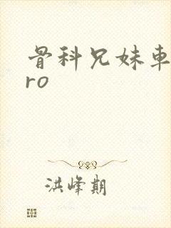 骨科兄妹车多pro