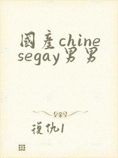 国产chinesegay男男封面
