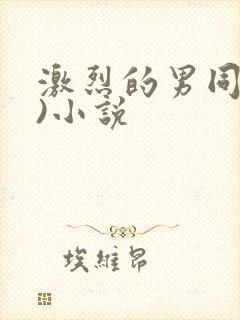 激烈的男同(h)小说