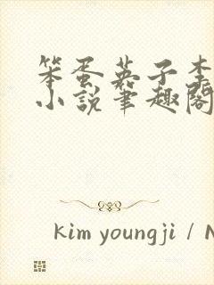 笨蛋英子李力雄小说笔趣阁