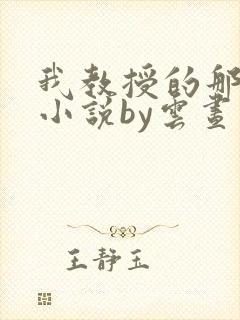 我教授的那些年小说by云昼