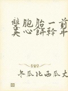 双胞胎一前一后夹心饼干年下