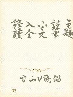 锋入小说免费阅读全文笔趣阁封面