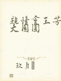 亲情会王芳高敏大团圆封面