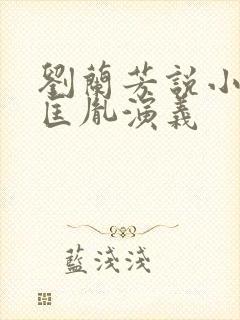 刘兰芳说小说赵匡胤演义封面