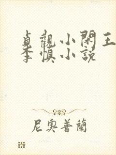 贞观小闲王纪王李慎小说