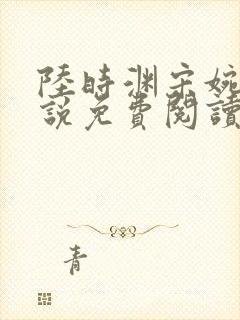 陆时渊宋婉婷小说免费阅读最新章节