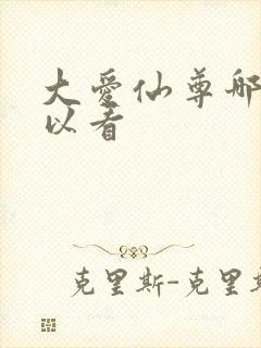 大爱仙尊哪里可以看