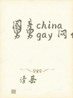 国产china男男gay 网站