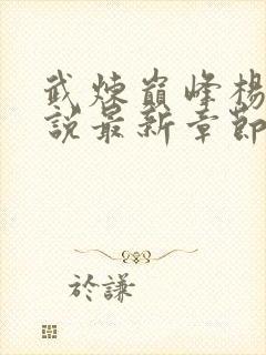 武炼巅峰杨开小说最新章节阅