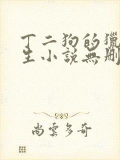 丁二狗的猎艳人生小说无删减小说