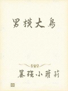 男模大鸟封面
