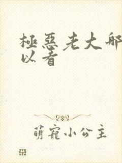 极恶老大哪里可以看