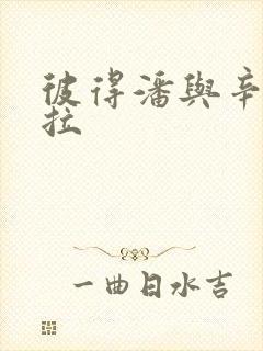 彼得潘与辛德瑞拉