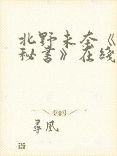 北野未奈《巨乳秘书》在线