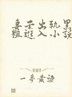 妻子出轨黑人巨粗进入小说