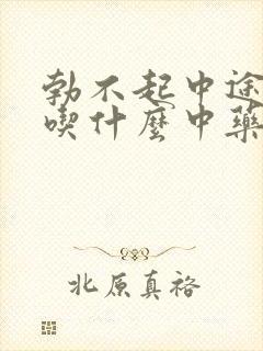 勃不起中途疲软吃什么中药