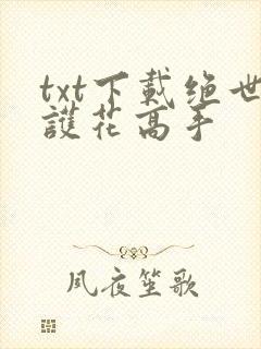 txt下载绝世护花高手