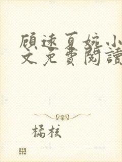 顾远夏婉小说全文免费阅读