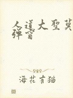 人道大圣莫默无弹窗封面