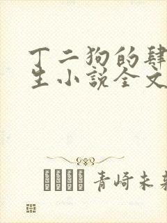 丁二狗的肆意人生小说全文免费封面