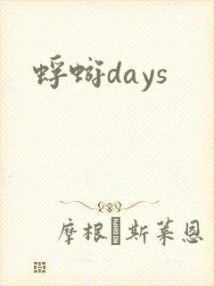 蜉蝣days