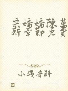 宋娇娇陈万里最新章节免费阅读小说