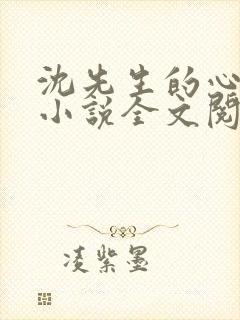 沈先生的心头宝小说全文阅读