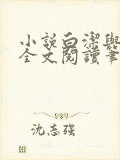 小说白洁与高义全文阅读笔趣阁