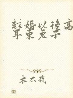 离婚以后高干 耳东兔子