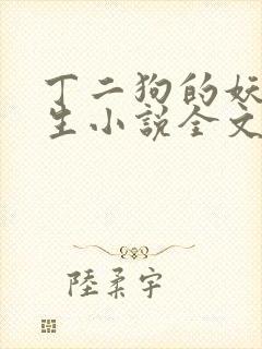 丁二狗的妖孽人生小说全文无删减封面