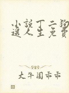 小说丁二狗的逍遥人生免费阅读封面