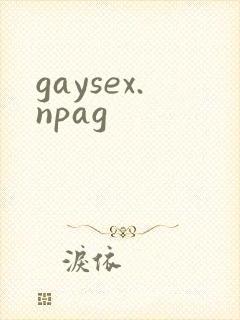 gaysex.npag封面