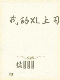 我的XL上司