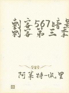 刺客567暗影刺客第三季